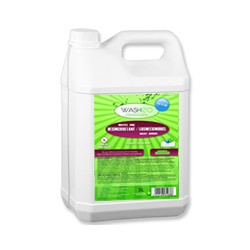 Descaling cleaner car 5L